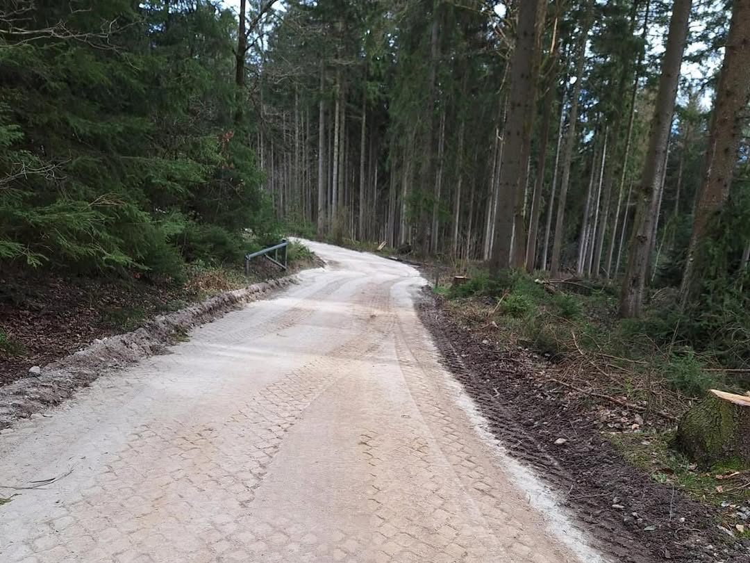 Bild eines gebauten Waldweges